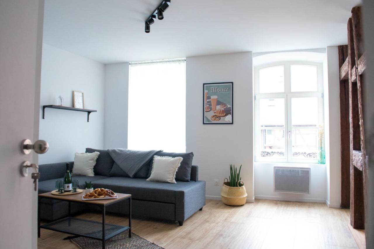 La Pomme Du President I Apartment Sélestat Екстериор снимка